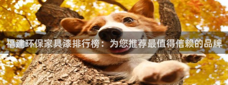 杏耀平台代理登录网址是多少