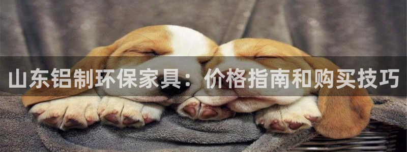 杏耀代理官网