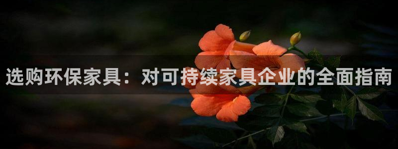 杏耀平台服务中心怎么样