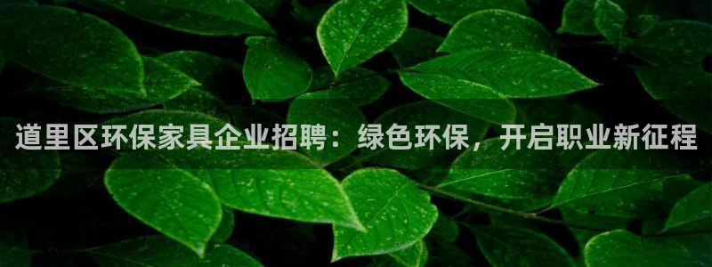 杏耀总代