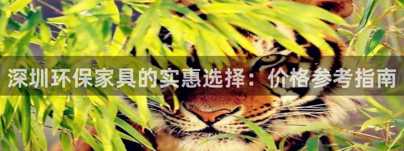 杏耀登录测速