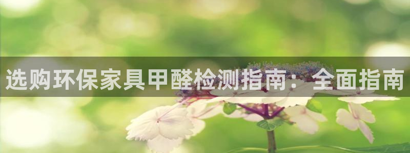 杏耀平台代理登录网址