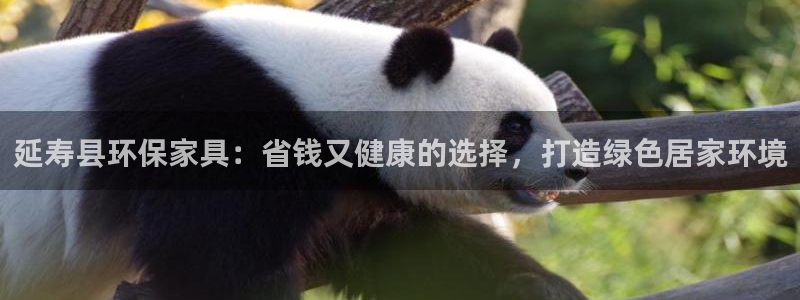 杏耀平台地址