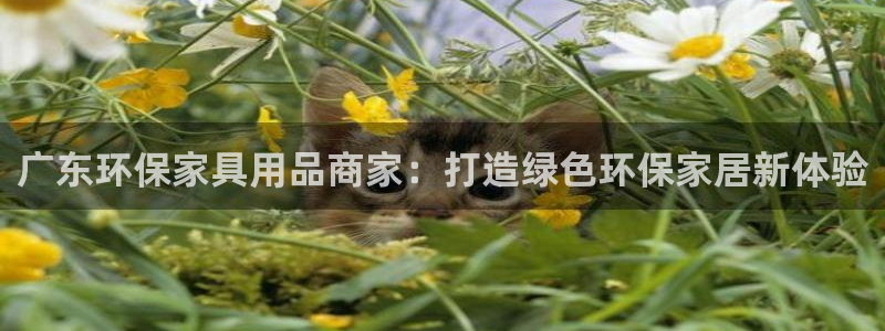 杏耀平台线路测速登录