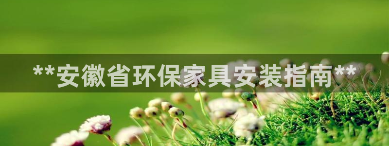 杏耀注册登录代理