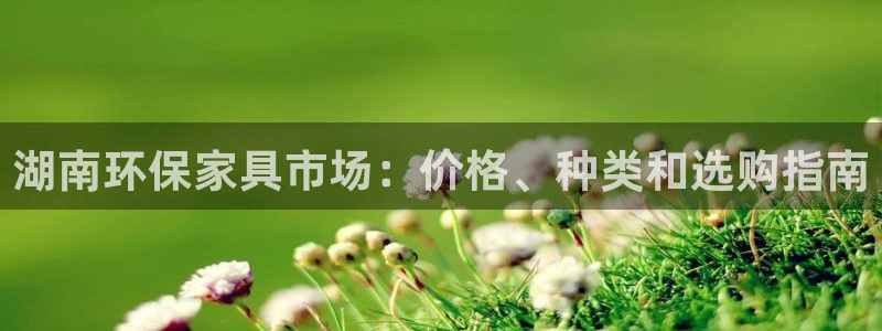 杏耀官网注册地址：湖南环保家具市场：价格、种类和选购指南