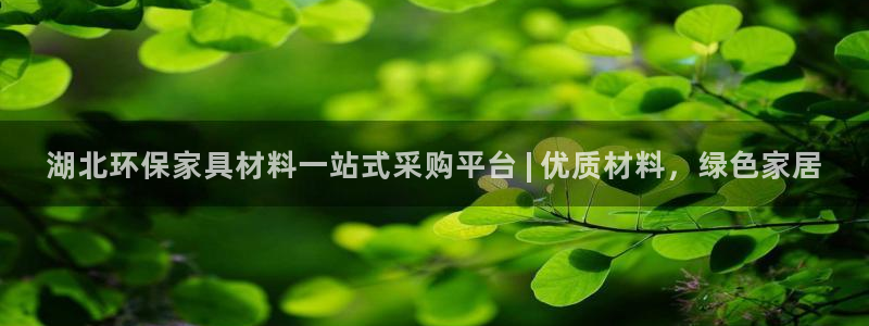 杏耀平台代理