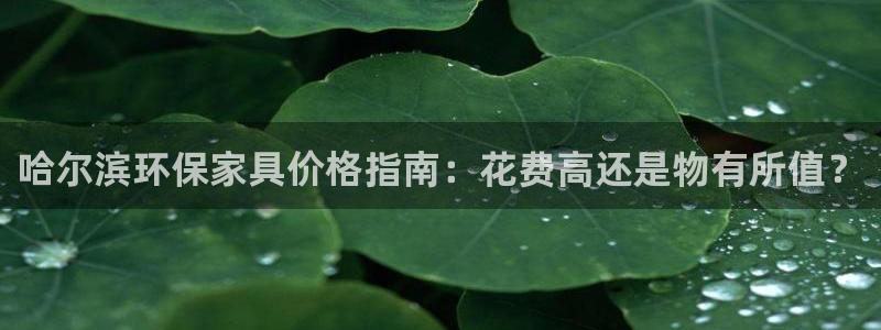 杏耀软件