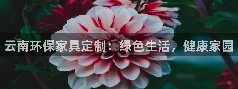 杏耀总代理