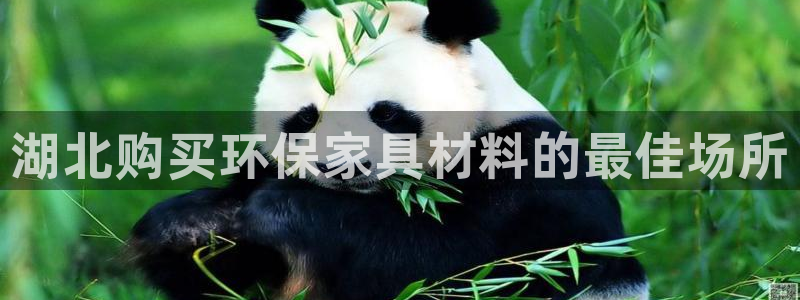杏耀官网登录