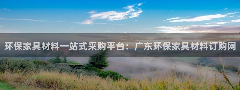 杏耀代理连接：环保家具材料一站式采购平台：广东环保家具材料订
