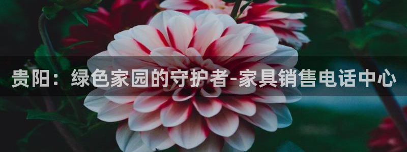 杏耀平台代理怎么赚钱