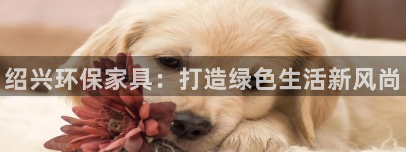 杏耀官网游戏