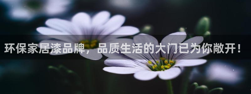 杏耀平台测速登陆
