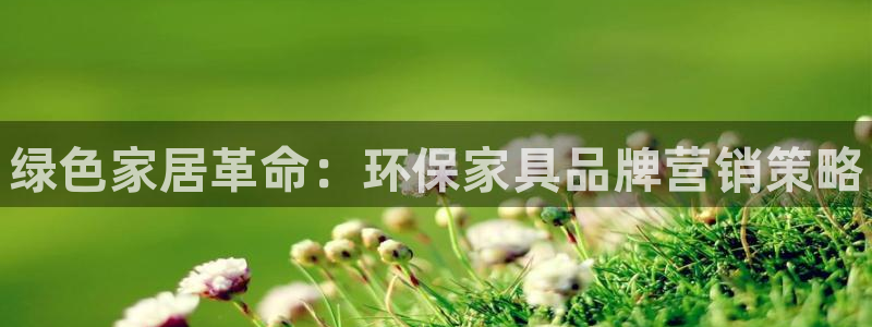 杏耀app怎样申请退款：绿色家居革命：环保家具品牌营销策略