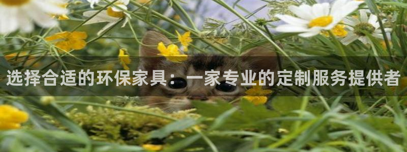 杏耀平台代理怎么赚钱的