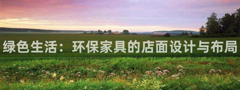 杏耀平台代理怎么赚钱：绿色生活：环保家具的店面设计与布局