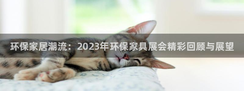 杏耀平台在哪里：环保家居潮流：2023年环保家具展会精彩回顾