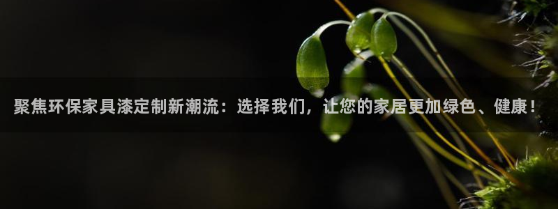 杏耀平台代理怎么赚钱：聚焦环保家具漆定制新潮流：选择我们，让